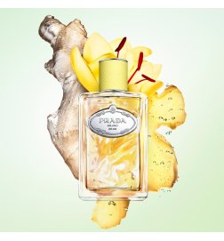 Ingwer-Infusion - Eau de Parfum Ingwer-Infusion - Eau de Parfum